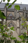SONY DSC